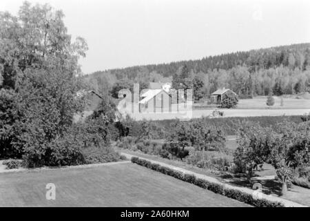 Ein Blick in die Natur, Schweden Värmland 1969. Una vista sulla natura, Värmland Swenden 1969. Foto Stock