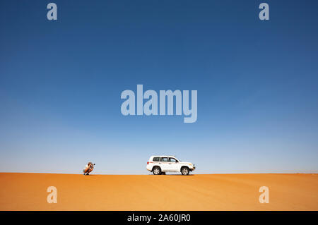 Uomo con veicolo fuoristrada, scattare foto nel deserto Wahiba Sands, Oman Foto Stock