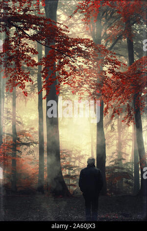 Vista posteriore dell'uomo nella foresta di autunno Foto Stock