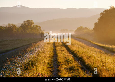 Sentiero fra l'erba con le montagne sullo sfondo durante la nebbia meteo, Baviera, Germania Foto Stock