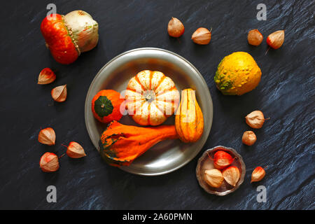 Natura morta con zucche ornamentali Foto Stock