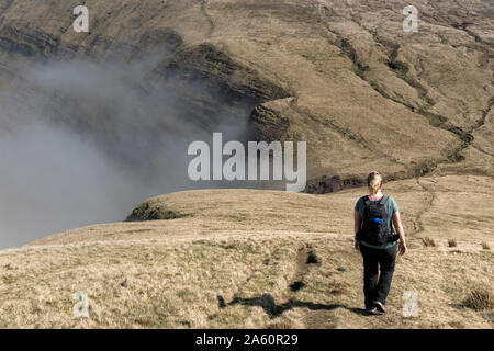 Nel Regno Unito, in Galles, Brecon Beacons, giovane donna escursionismo a Bannau Sir Gaer Ridge Foto Stock