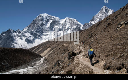 Giovane donna escursioni nel Parco Nazionale di Sagarmatha, Campo Base Everest trek, Nepal Foto Stock