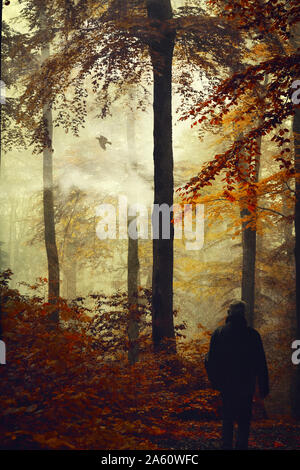 Vista posteriore dell'uomo nella foresta di autunno Foto Stock