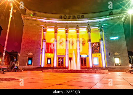 L'opera di Tallinn in Estonia di notte Foto Stock