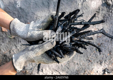 Mani self made carbone all'aperto Foto Stock