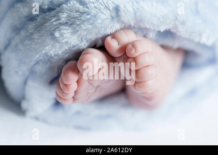 In prossimità dei piedi di un neonato Foto Stock