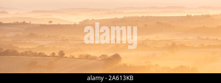 Nebbia copriva campagna di laminazione all'alba in inverno, Dartmoor Devon, Inghilterra, Regno Unito, Europa Foto Stock