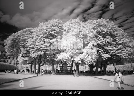 Vista di Place des Vosges a Parigi, nero in bianco effetto a raggi infrarossi Foto Stock