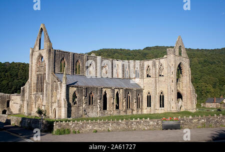 Nel tardo pomeriggio vista del sud ed ovest del Tintern Abbey, Monmouthshire, Wales, Regno Unito, Europa Foto Stock