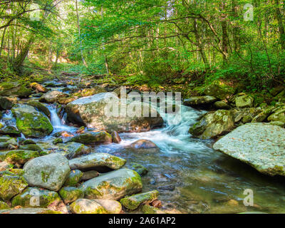 Polo Centrale della Little Pigeon River nel Greenbrier area del Parco Nazionale di Great Smoky Mountains nel Tennessee negli Stati Uniti Foto Stock