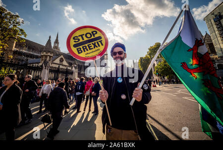 Anti-Brexit manifestanti fuori casa del Parlamento, Westminster, London, Regno Unito. Foto Stock