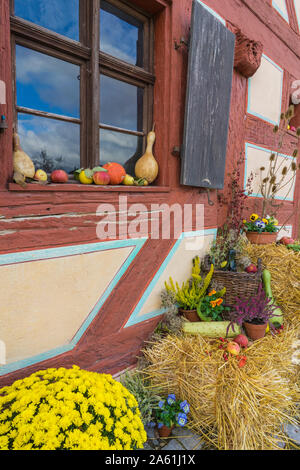 Bad Windsheim, Germania - 16 Ottobre 2019: vista sulla finestra e autunno decorazioni con fiori, zucche e frutta Foto Stock