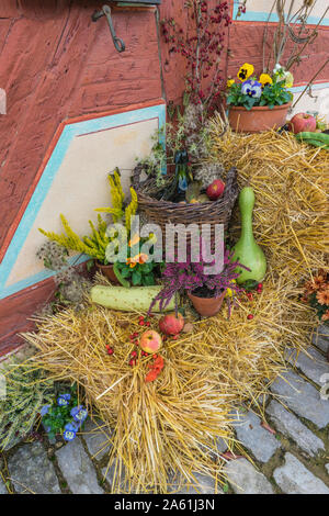 Bad Windsheim, Germania - 16 Ottobre 2019: vista sul pavimento di pietra e autunno decorazioni con fiori, zucche e frutta Foto Stock