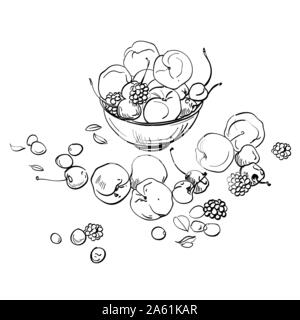 Disegnare a mano illustarion di frutta fresca in una ciotola. Le pesche e le ciliegie Illustrazione Vettoriale