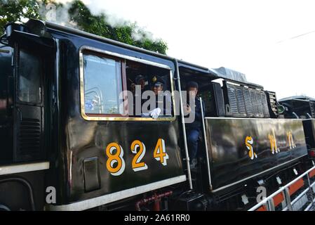 Bangkok, Tailandia. 23 Ott, 2019. Le Ferrovie dello stato organizzato uno speciale locomotiva a vapore a marzo su Chulalongkorn Day il 23 ottobre 2019, il percorso storico di Bangkok - Phra Nakhon Si Ayutthaya, per mostrare la fedeltà alla gentilezza di Sua Maestà il Re la concessione al Thai industria ferroviaria. (Foto di Teera Noisakran/Pacific Stampa) Credito: Pacific Press Agency/Alamy Live News Foto Stock