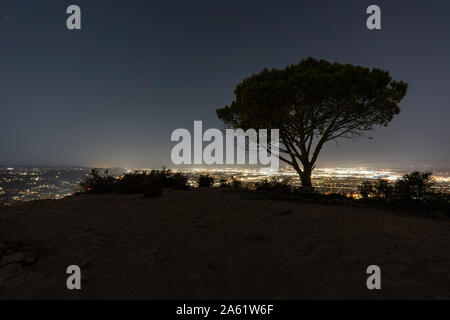 Vista notturna della saggezza Tree sul picco di Burbank vicino a Griffith Park e Hollywood a Los Angeles, California. Foto Stock