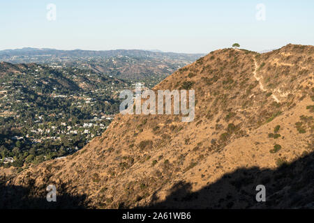 Vista della Saggezza Tree Trail sul picco di Burbank vicino a Griffith Park di Los Angeles, California. Foto Stock
