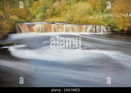 Wain Wath vigore in autunno. Una famosa cascata sul fiume swale vicino Keld, Swaledale, Yorkshire Dales National Park, Inghilterra, Regno Unito. Foto Stock