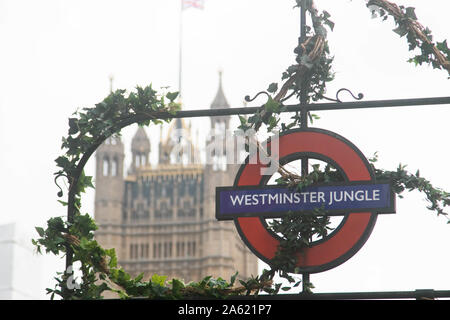 London, Regno Unito - 23 ottobre 2019. Westminster la stazione della metropolitana è stato rinominato Westminster Jungle come parte di una promozione da parte del Times e Sunday Times per riflettere il clima politico e Brexit impasse incontrate dai politici in Parlamento Credito: amer ghazzal/Alamy Live News Foto Stock