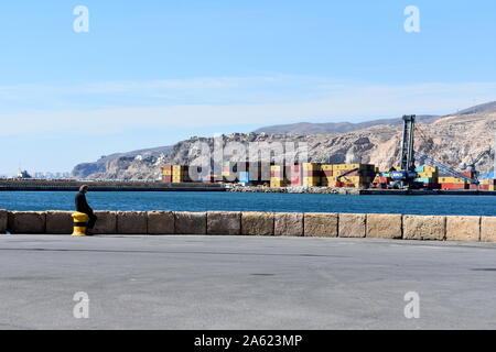 Uomo seduto su un bollard guardando attraverso il porto di Almeria, Almeria, Spagna Foto Stock