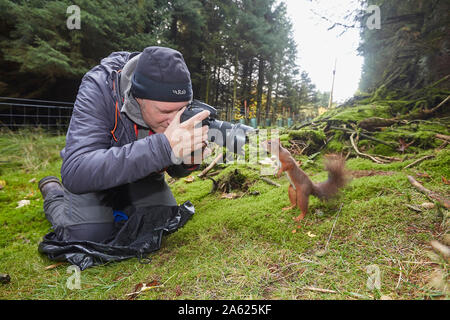 Fotografo a scattare foto di uno scoiattolo rosso Sciurus vulgaris, che è in posa davanti alla telecamera, Hawes, Yorkshire Dales Nati Foto Stock