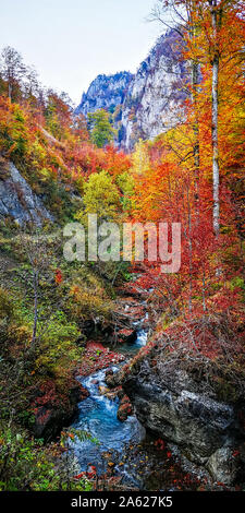 Autunno in Buila Vanturarita, Carpazi, Romania. Vivid i colori dell'autunno in foresta. Scenario della natura con la luce del sole attraverso i rami di alberi. Co Foto Stock