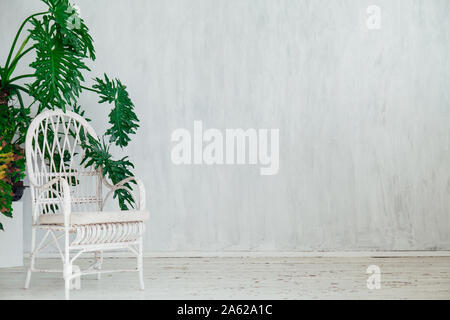 Sedia bianca con impianti home nella parte interna della camera di grigio Foto Stock