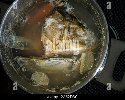 Un bollito di carpa testa galleggia nel brodo di pesce in una pentola di cottura. Foto Stock