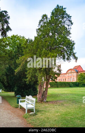 Dargun, Mecklenburg-Pomerania, Germania - 5 Agosto 2019: impressioni del Manor e Monastero Park di Dargun, Mecklenburg-Pomerania, Germania. Foto Stock