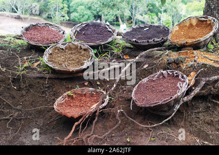 Maurizio le terre colorate in cestelli; le 7 terre colorate regione vulcanica, Chamarel, Mauritius Foto Stock