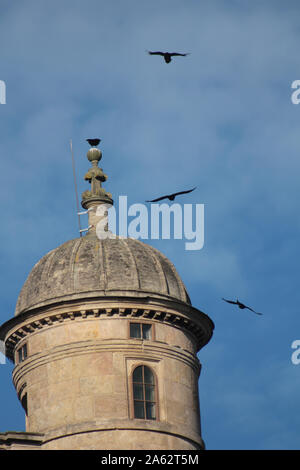 I corvi che circondano la torre di Wollaton Hall di Nottingham Foto Stock