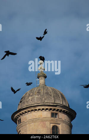 I corvi che circondano la torre di Wollaton Hall di Nottingham Foto Stock