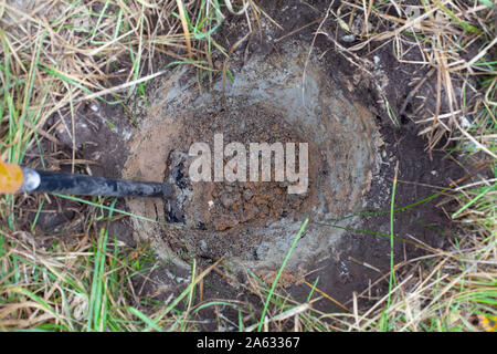 Lo scavo di un pozzo profondo con la pala per il reimpianto di piante in un terreno migliore Foto Stock