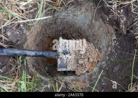 Lo scavo di un pozzo profondo con la pala per il reimpianto di piante in un terreno migliore Foto Stock