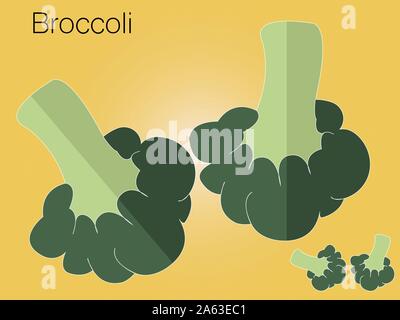 Broccoli verdi lo schizzo di organici naturali di origine vegetale. Colorata illustrazione vettoriale può utilizzare per la promozione, la pubblicità con il testo; per la loro agricoltura Illustrazione Vettoriale