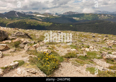 Rocky Mountain Park, COLORADO, Stati Uniti d'America Foto Stock