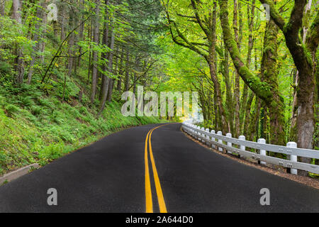 Una strada serpeggiante fiume Columbia Scenic Byway con il classico bianco recinzioni in Oregon, USA Foto Stock