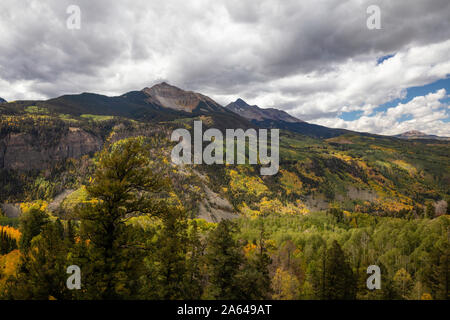 Foglie Autunnali Sulla Sunshine Mesa, San Juan Skyway, San Juan Mountains, Colorado Foto Stock