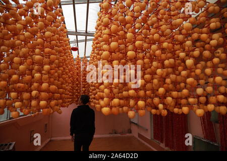 I cachi maturi e la tecnologia dei cachi sono in bilico Foto Stock