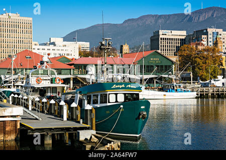 Hobart Australia / Commerciale barche da pesca al di ancoraggio a Hobart in Tasmania.Victoria Dock è casa per molti Hobarts commerciale di pesca le navi. Foto Stock