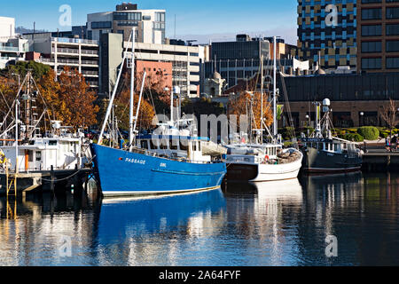 Hobart Australia / Commerciale barche da pesca al di ancoraggio a Hobart in Tasmania.Victoria Dock è casa per molti Hobarts commerciale di pesca le navi. Foto Stock