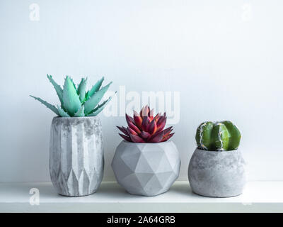 Pentola di cemento in stile minimale. Cactus e piante grasse in moderno geometrico le piantatrici di calcestruzzo su legno ripiano bianco isolato su sfondo bianco. Foto Stock