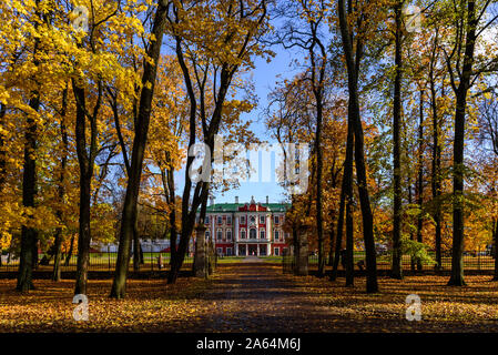 Vista del Palazzo Kadriorg dal parco con foglie di giallo su alberi in autunno. Sunny cielo limpido, caldo autunno Foto Stock