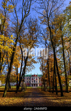 Vista del Palazzo Kadriorg dal parco con foglie di giallo su alberi in autunno. Sunny cielo limpido, caldo autunno Foto Stock