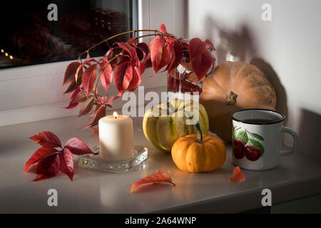 Natura morta con zucche, un rosso striato con tazza di tè e limone e uva selvatica in una finestra Foto Stock