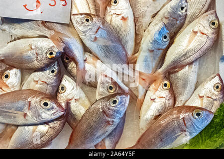 Fresh piccoli pesci sul mercato Foto Stock