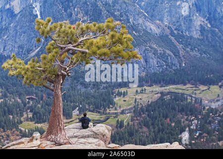 Uomo seduto sotto albero solitario sul picco di roccia Foto Stock