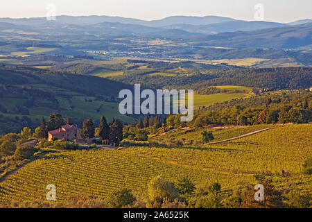 Paesaggio toscano con colline e valli nella luce del tramonto Foto Stock