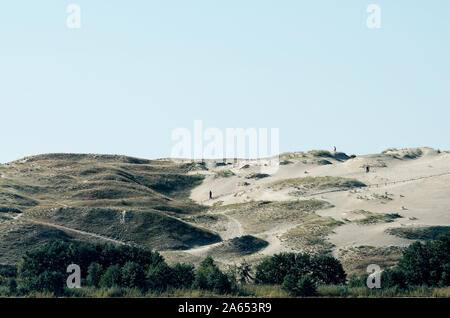 Nida - Curonian Spit e laguna di Curonian, Nida, Neringa, Lituania. Mar Baltico Dune. Patrimonio Unesco. Nida è situato sulla Penisola di Curon (Kurshskaya Kosa).bella grigio Foto Stock